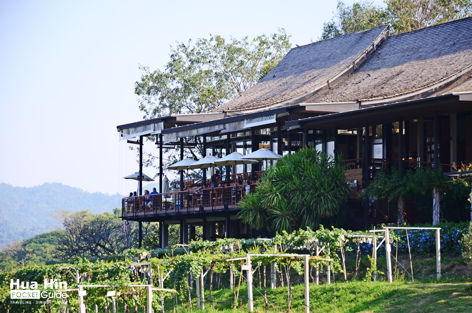 The Sala Bistro and Wine Bar ไร่องุ่น Monsoon Valley Vineyard หัวหิน