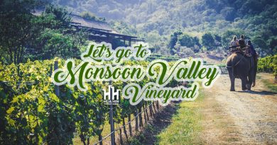 monsoon valley vineyard