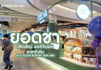 ยอดชา เชียงใหม่ ออริจินัล